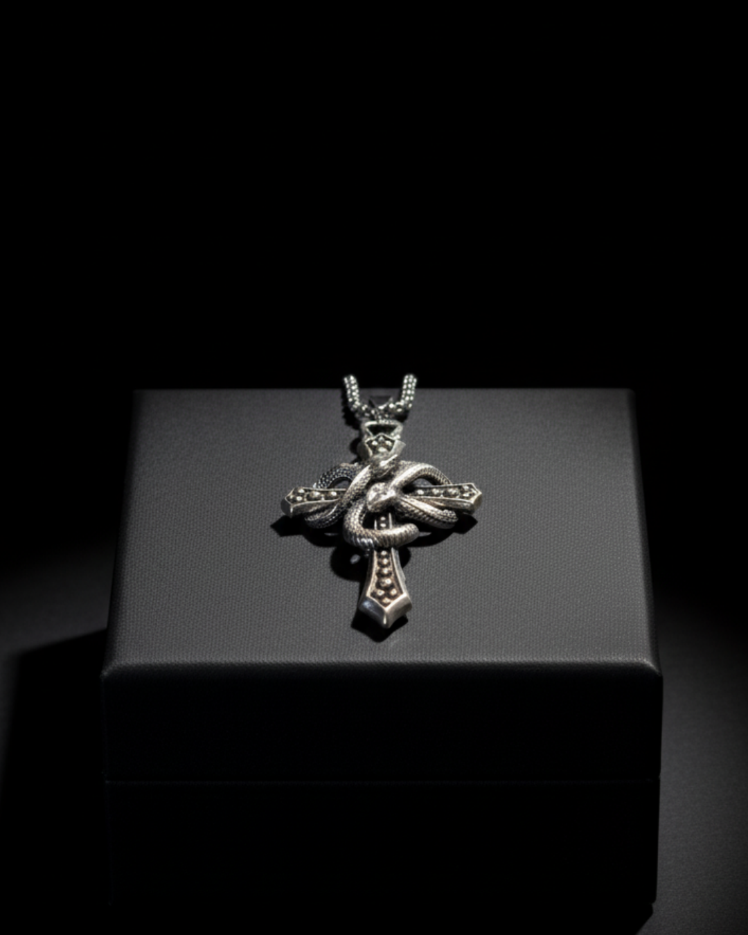 Silver snake and cross pendant on a black box with a dark background
